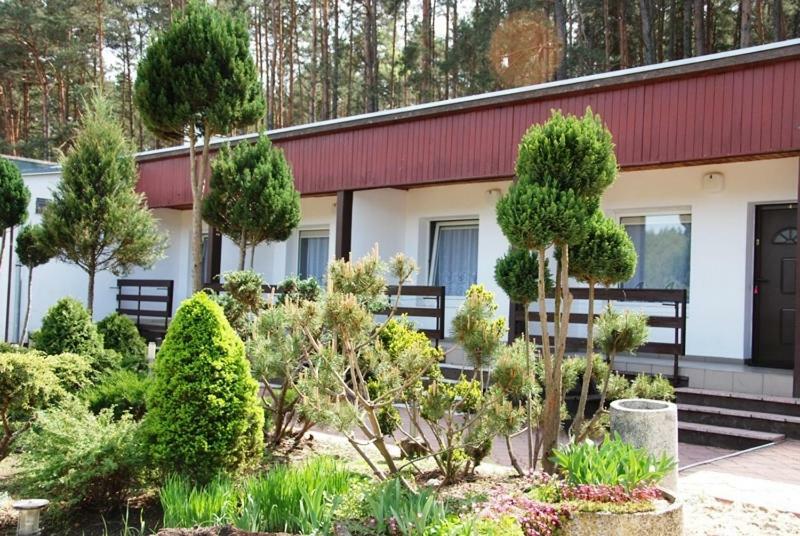 Osrodek Wypoczynkowy Sosenka Apartment Zalom  Екстериор снимка